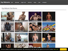 Tablet Screenshot of gaycamon.com